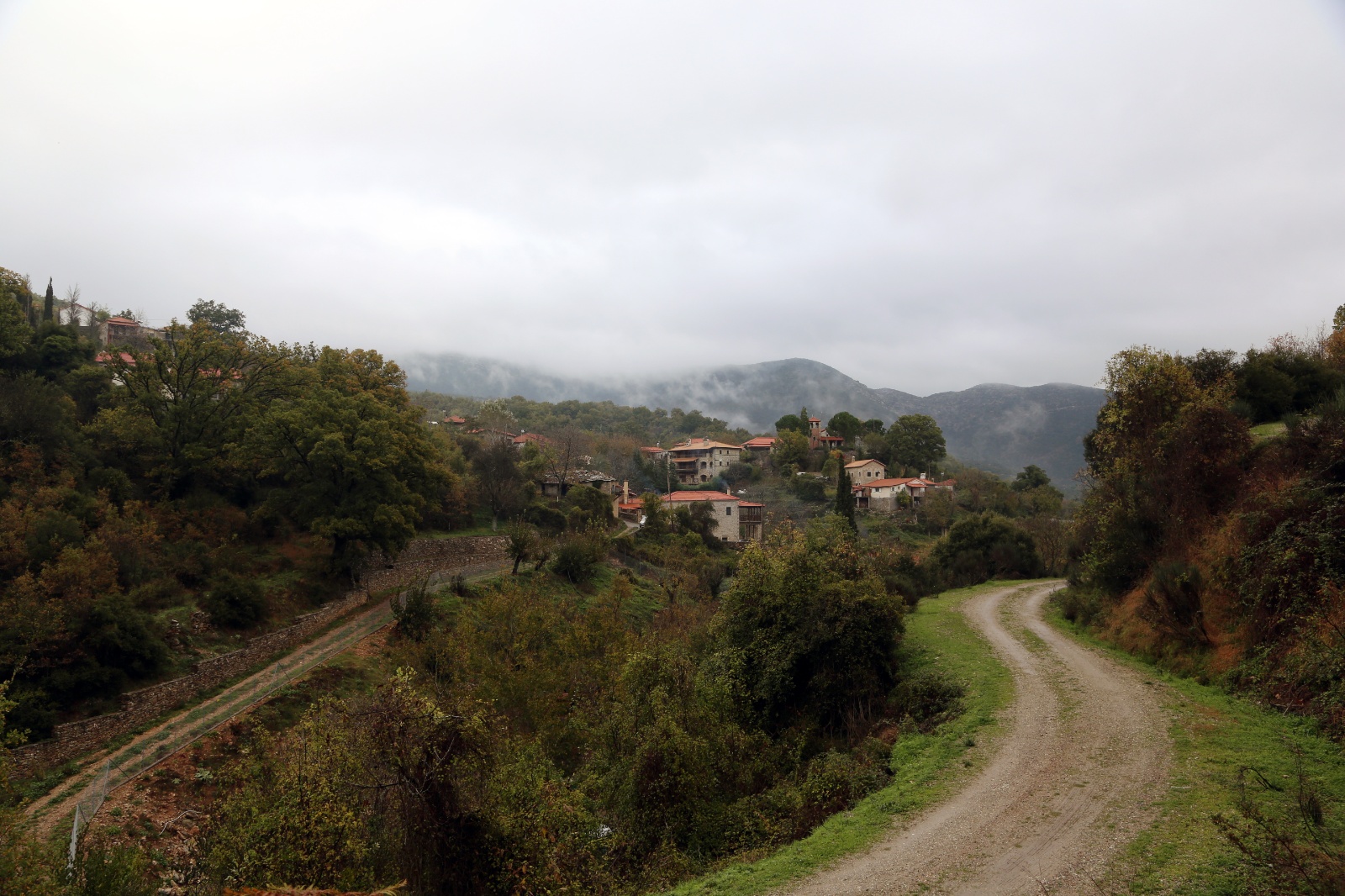 Ampeliona, Chestnut Festival